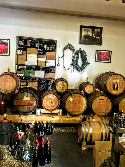 bodegas