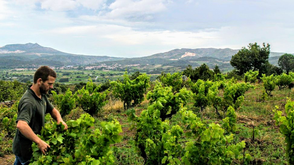 Clos du Rouge Gorge