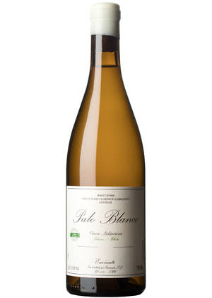 Palo Blanco 2018-palomino