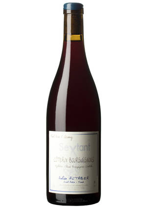 Côteaux Bourguignons 2021-gamay-pinot noir