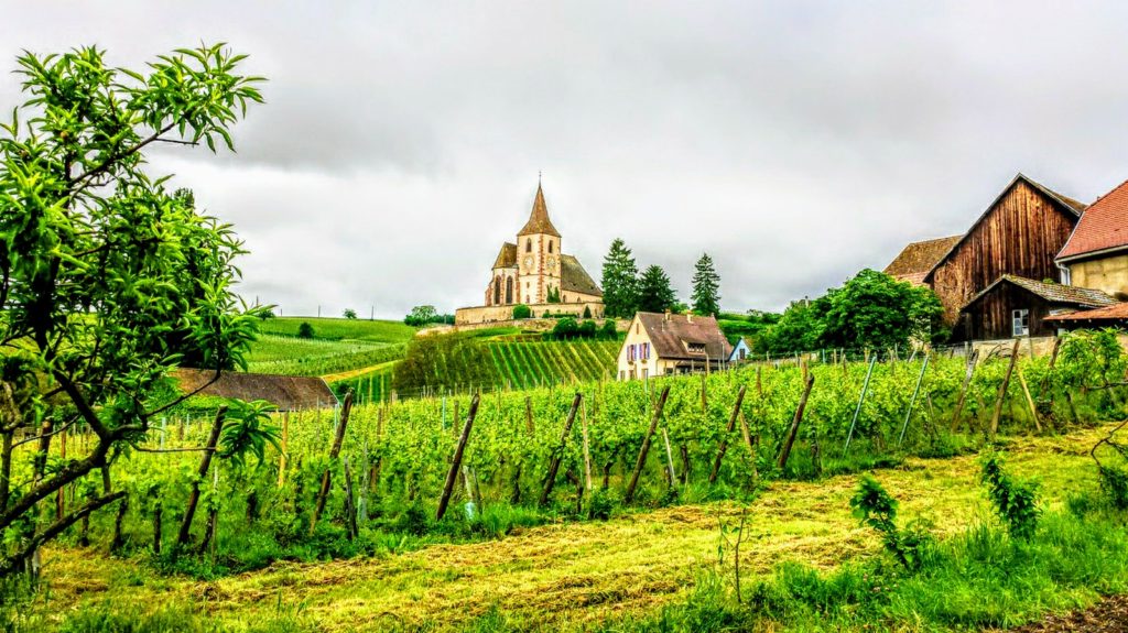 Domaine Rietsch-viña