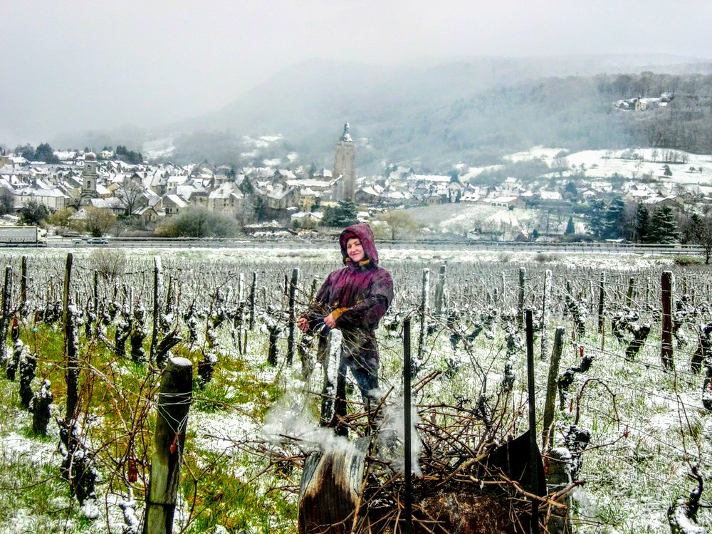 Domaine de l’Octavin-viña