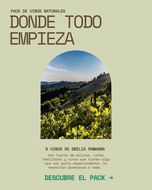 pack1 vinos naturales