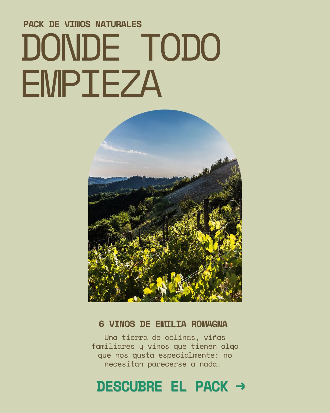 pack1 vinos naturales