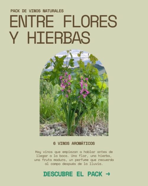 Pack3 vinos naturales