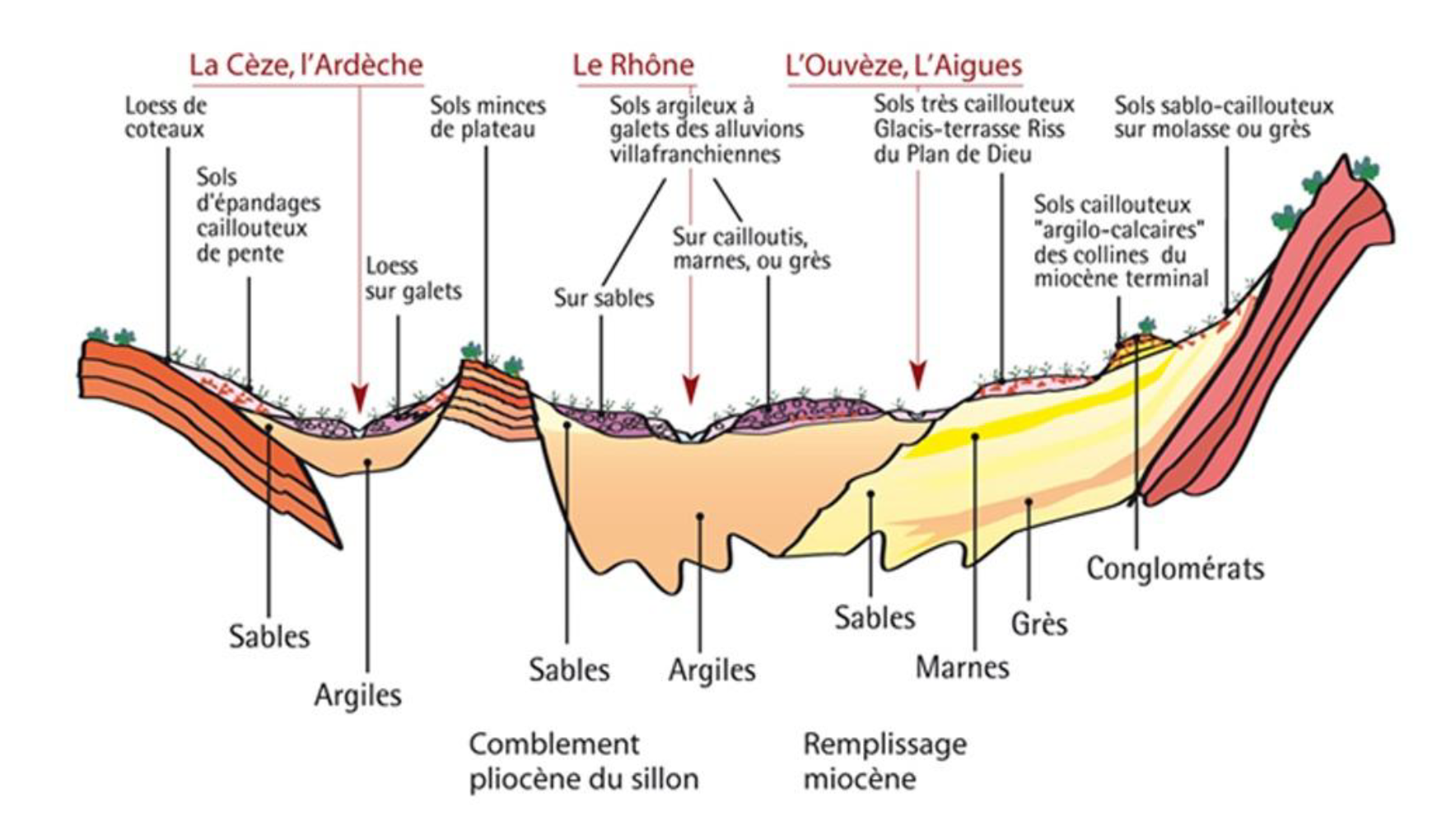 Côtes du Rhône Suelos