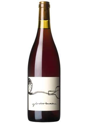 Garnatxa 2019-garnacha-macabeo