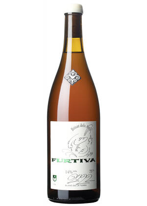 Brisat dels Arcs 2023-garnacha