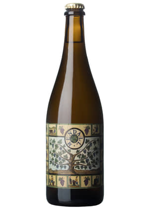 BBT 2022-macabeo-garnacha