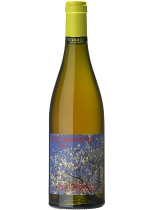 Blossom 2020-moscatel