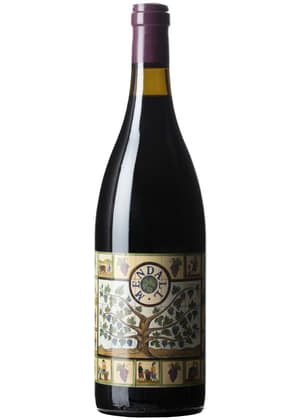 Terme de Guiu Negre 2020-cariñena