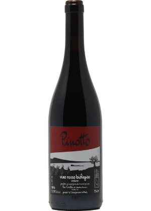 Pinotto 2020-pinot-noir