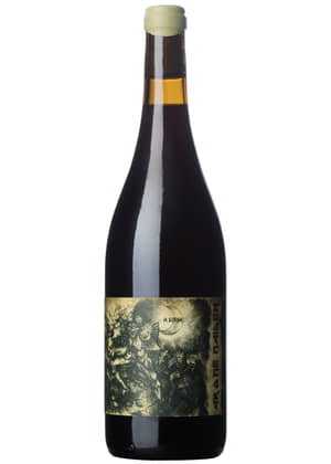 Arôme Maiden 2018-syrah-sauvignon blanc