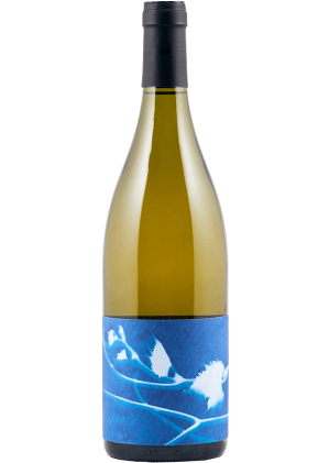 Le Rayon Blanc 2019-chenin-blanc