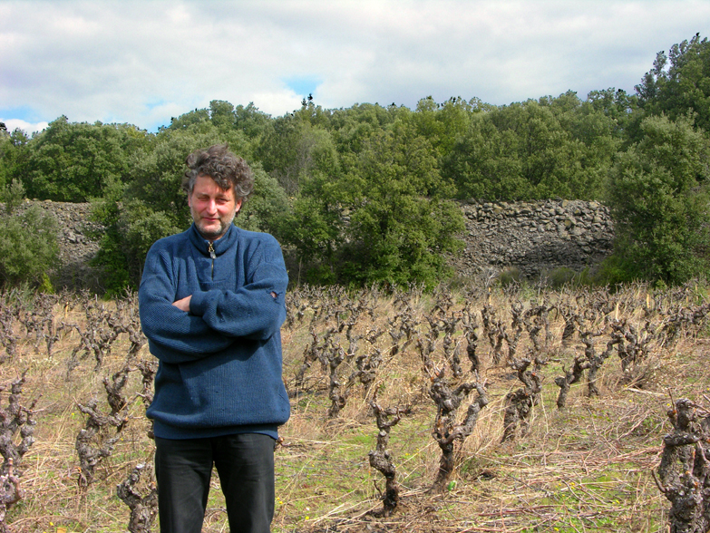 Domaine des Dimanches Viña