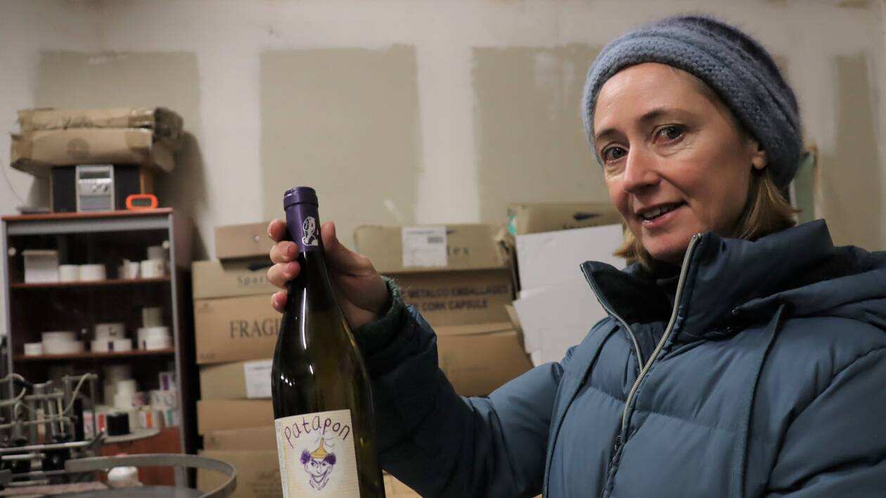 Domaine le Briseau