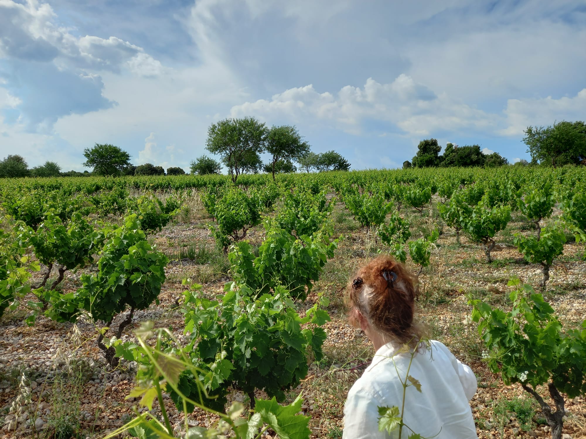 Le Petit Domaine de Gimios