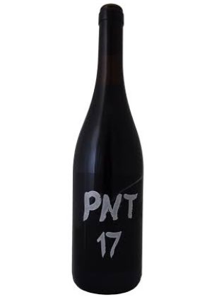 PNT 2017-pinot noir