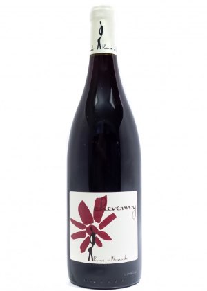 Cheverny Rouge 2021-pinot-noir-gamay