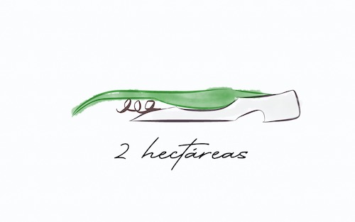 Logo 2hectareas vinos naturales