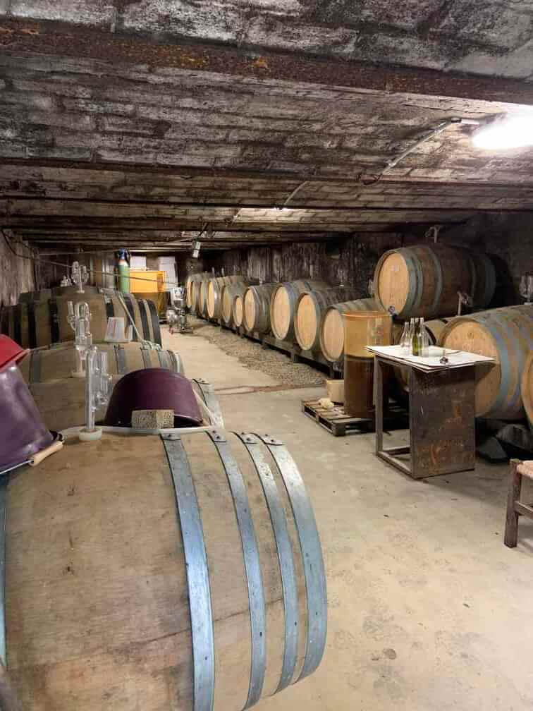 Chateau de Bonnezeaux Bodega
