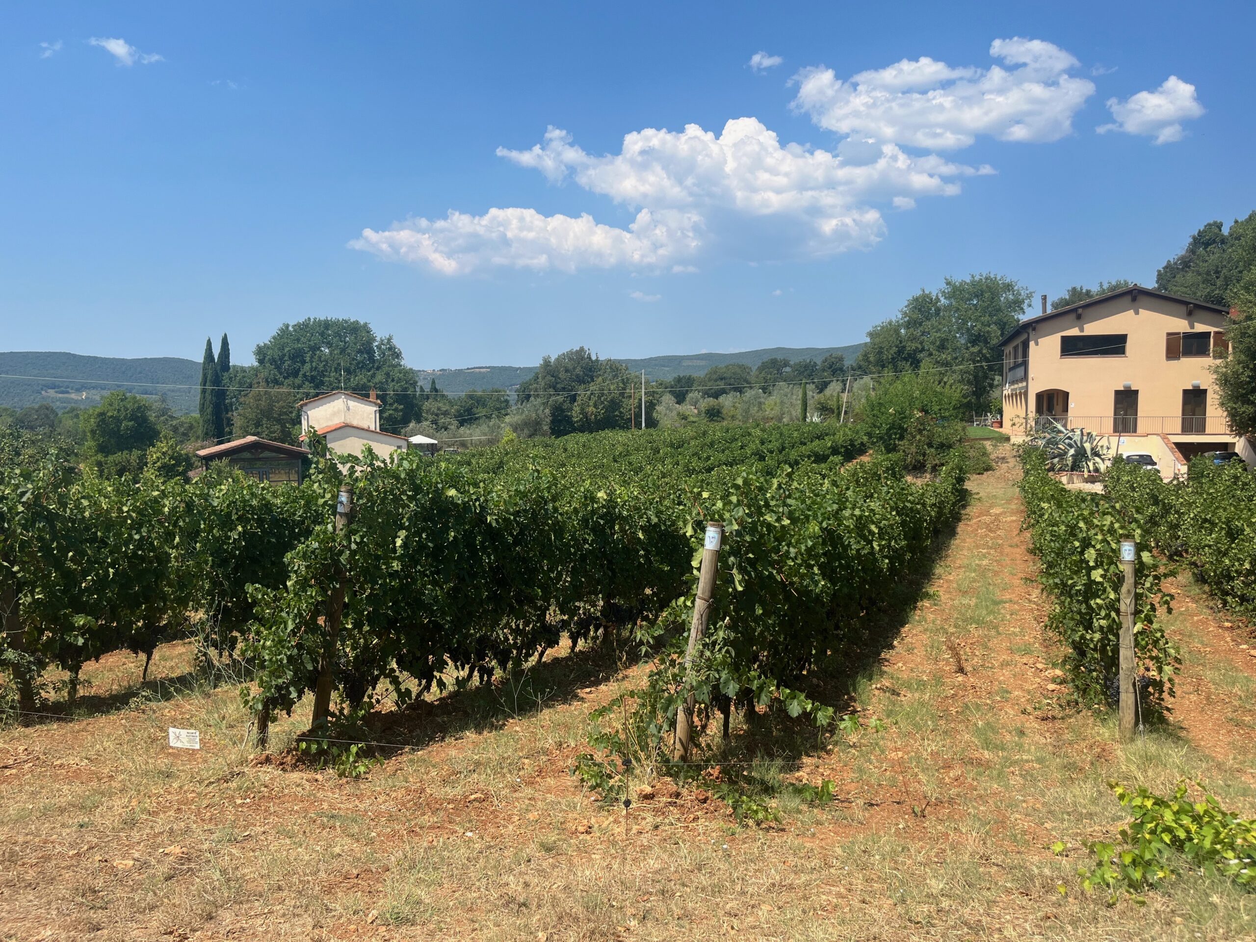Massa Vecchia
