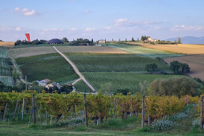 Umbria viña