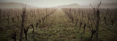 Hervé Villemade Viña