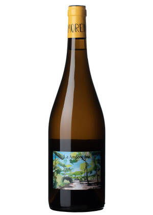 La Angostura 2024-palomino