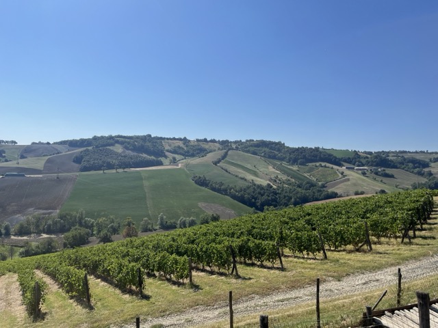 Camilo Donati viña