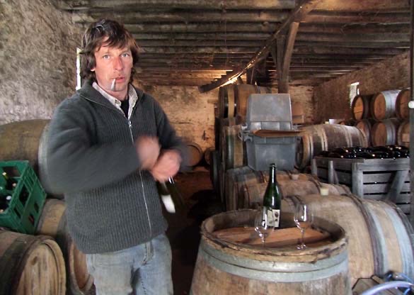 Les Vignes de Babass