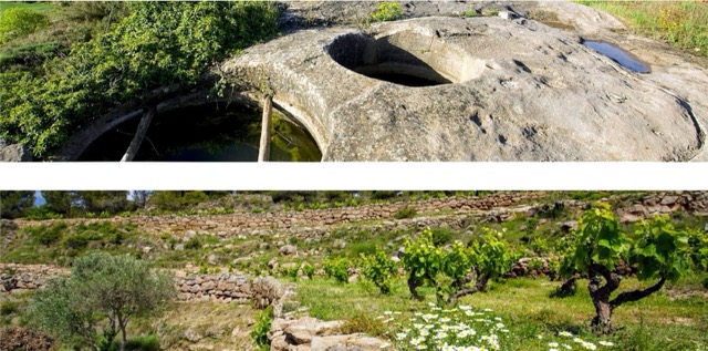 vinyes-dempremta en tamaño mediano