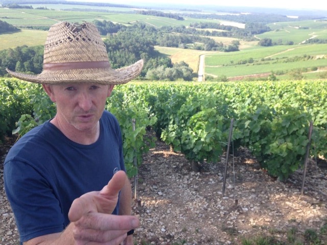 Bertrand Gautherot-Vouette & Sorbée