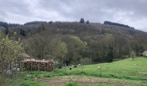 Yvon Métras viña