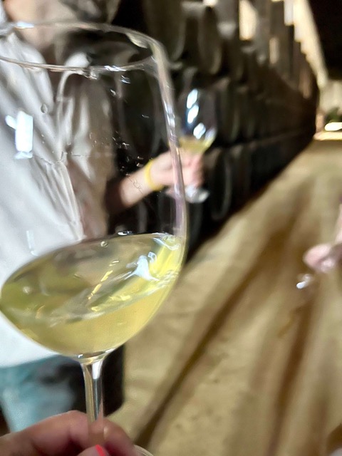 vinos-dulces-o-especiales