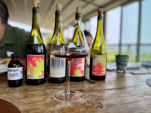 vinos-tintos