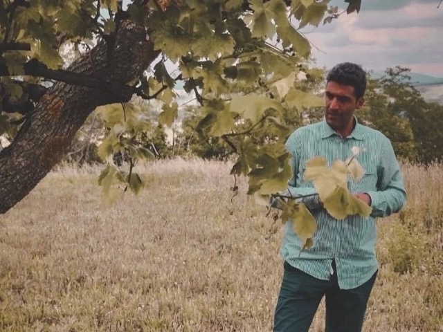 Andrea Polidoro
