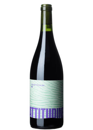 Dolcetto d'Alba 2024