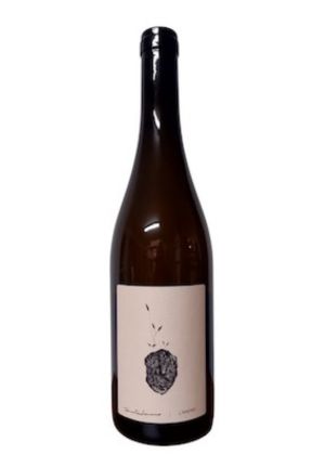 L'Animo 2024-grecchetto gentile