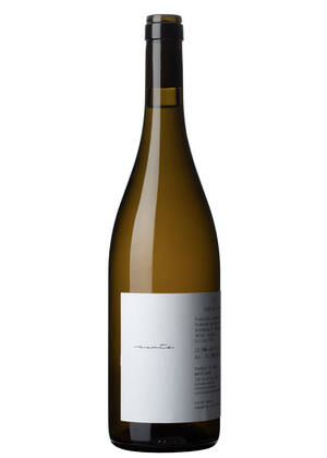 Monte 2023-palomino