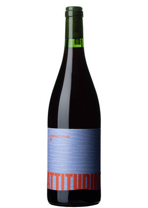 Nebbiolo d'Alba 2024