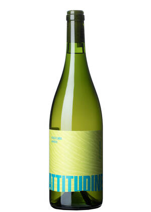 Roero Arneis 2024