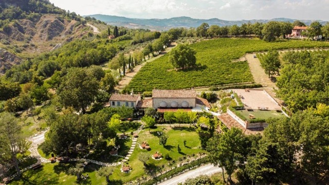 Tenuta Saiano viña