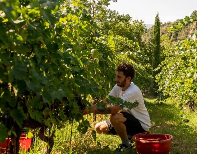 Tenuta Saiano