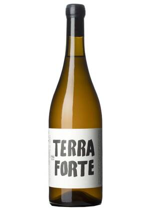 Terra Forte 2024-moscatel