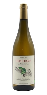 Terre Silvate 2024-verdicchio-trebbiano