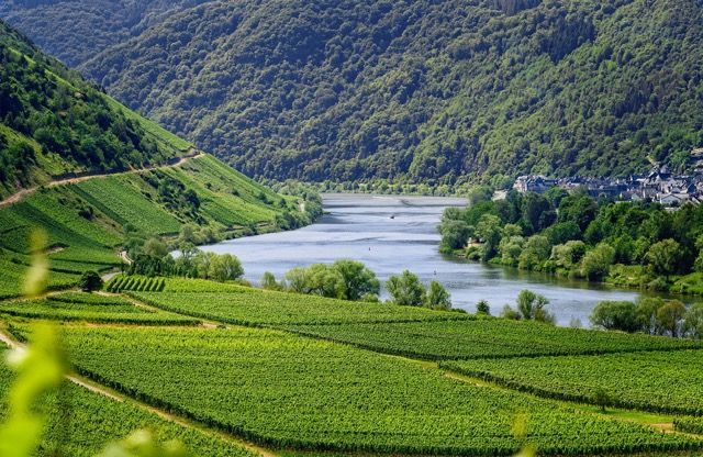 Le Prieuré Saint Jean de Bébian viña