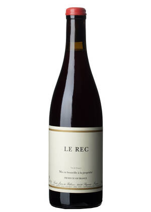 Le Rec 2023-cinsault