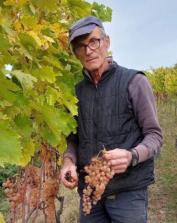 Angiolino Maule