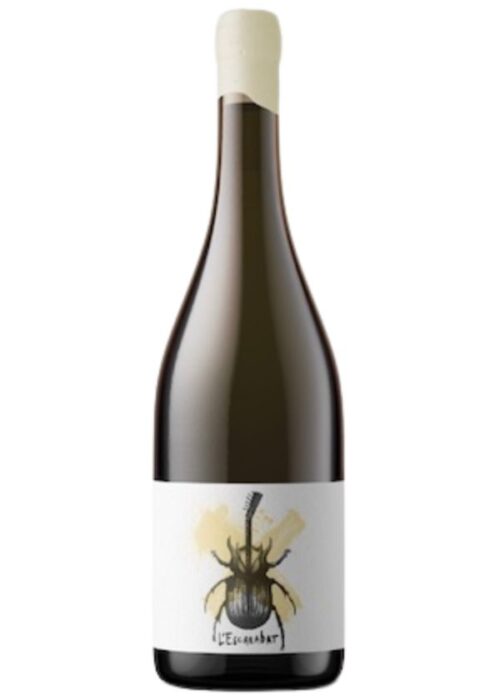 Escarabat Blanc 2025-garnacha